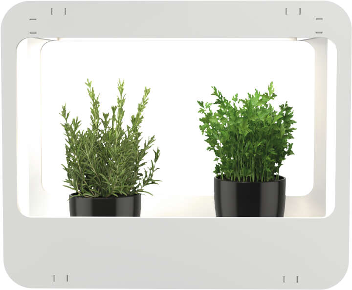 STYLE Mini-Garten mit LED-Beleuchtung